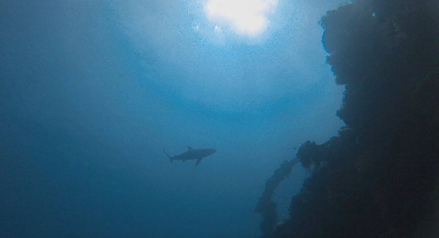  profondeurs de la mer